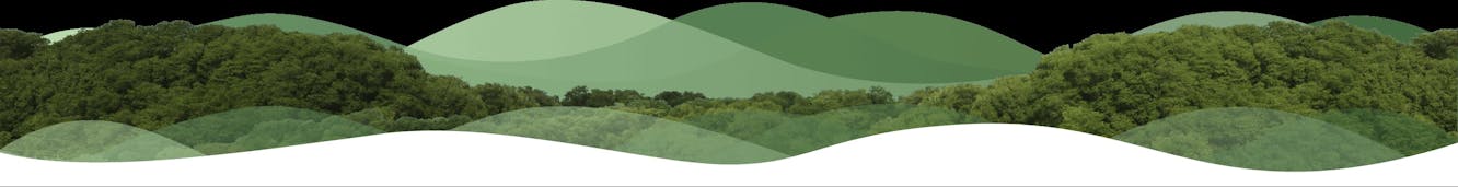 MzAyNjk0OTUtZjc4NC00YzE3LWI2MWUtNGIwMjUzOTc3MDk5 633474a3812bb4aee113b241 wave2