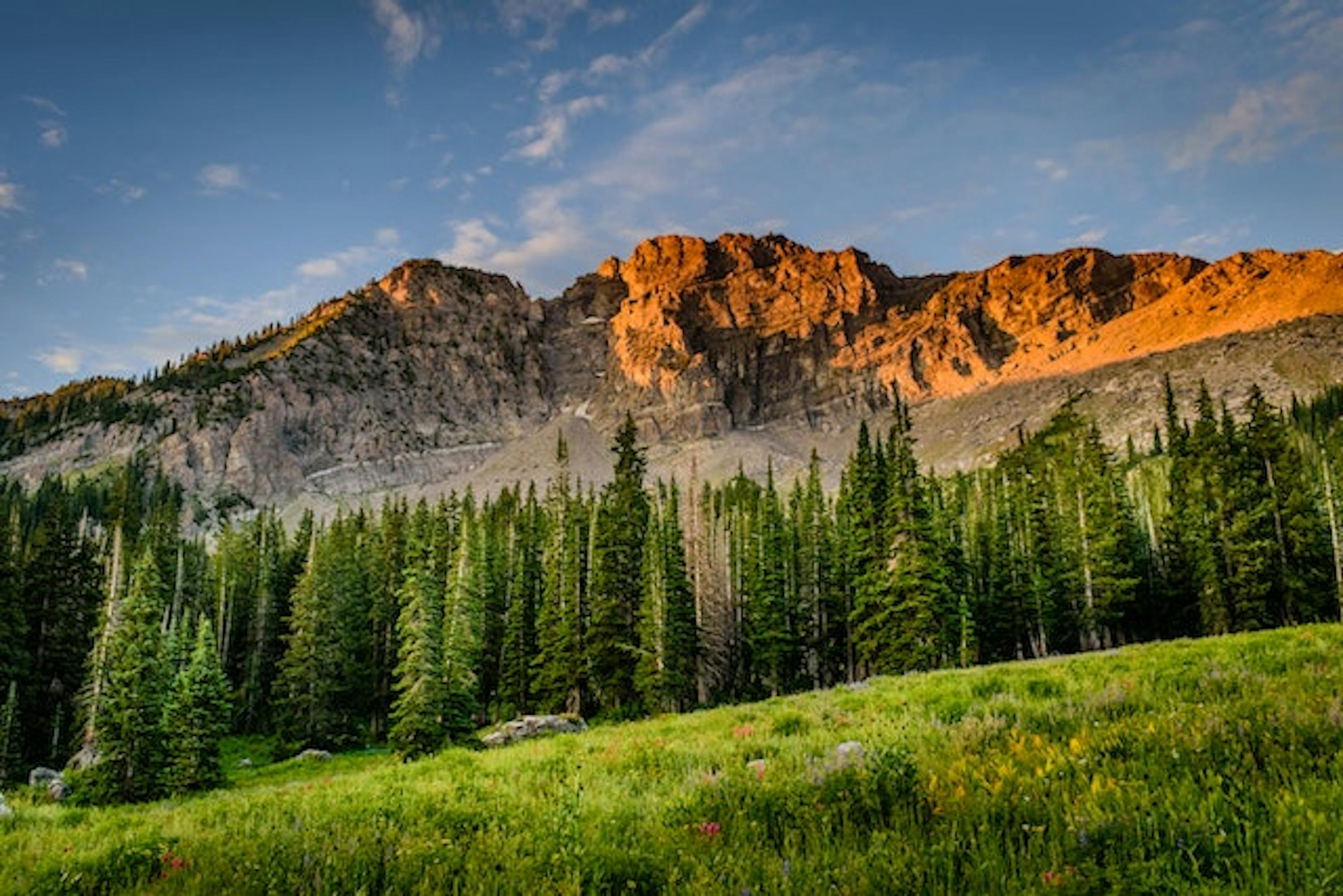 montagne, arbres, nuages 