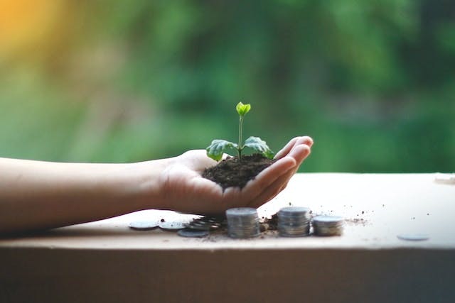 Une main tenant une plante et des pièces de monnaie sur la table