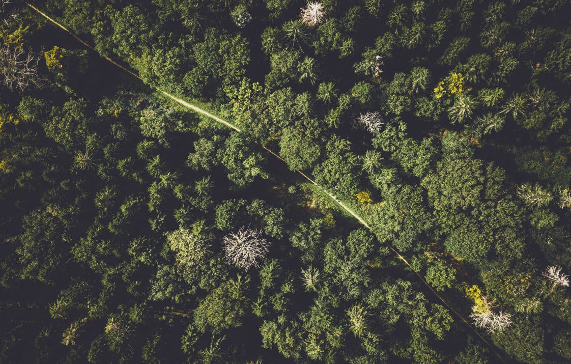 NjA3MDJkNTUtMjQwMC00NWVmLWJlM2EtYzhlMzUxMWQ1Mzk1 6232f79b68d15d48d169cdb0 ivan bandura w17fu guyvq unsplash 1