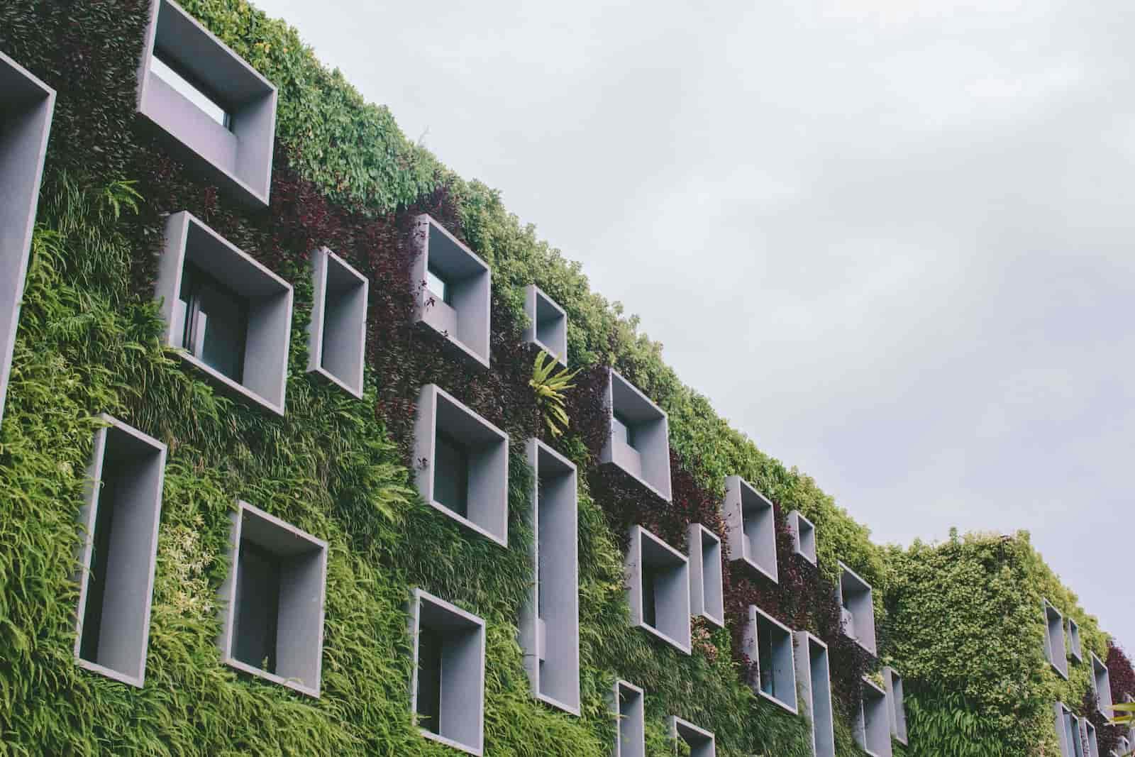 un bâtiment recouvert de plantes vertes