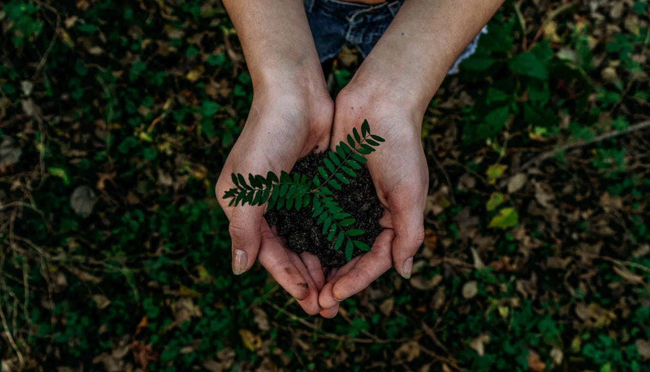 Nzk1YjZjYmEtMmYzMC00ZTdhLTgwOTUtYjhhZDM0ZmVhZTg0 6232f79b68d15d535469cdda noah buscher x8zstuks2pm unsplash