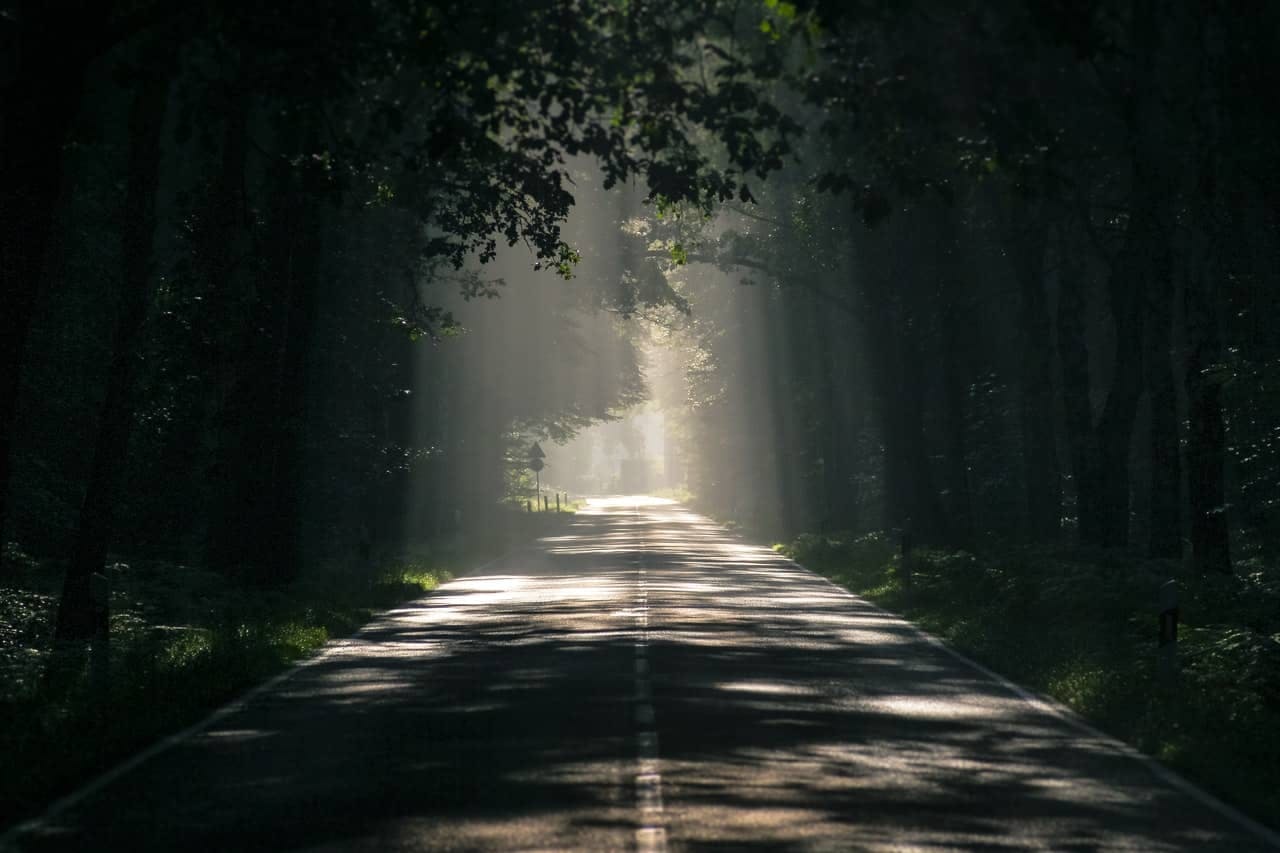 Empty road in a forest with sunlight 