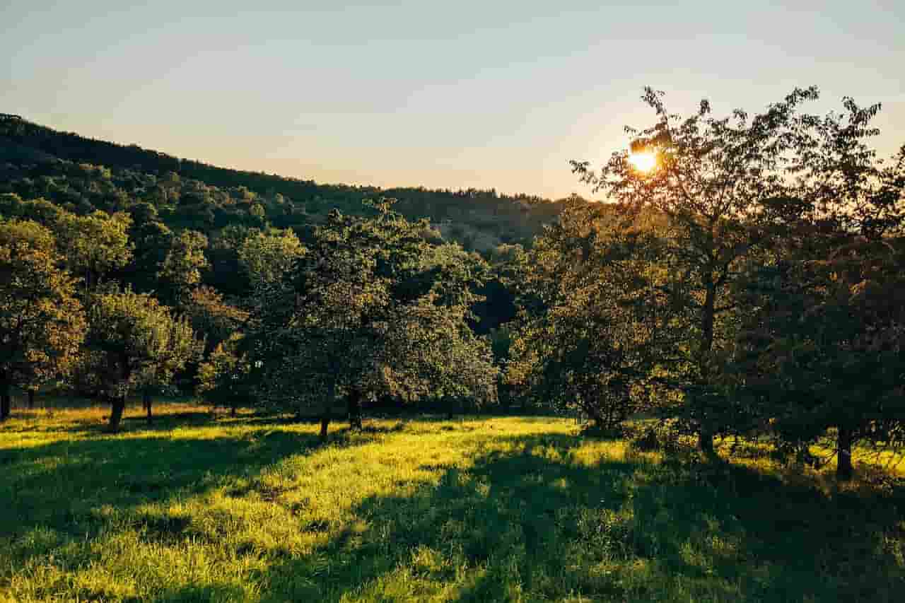 OTJlZjIzNWMtYjhhYS00ODgwLWE5MDktNTUzY2VhOGVkNTc4 6332f8ebdba446def78fcb13 toutcequevousdevezsavoirsurleconomiecirculaire