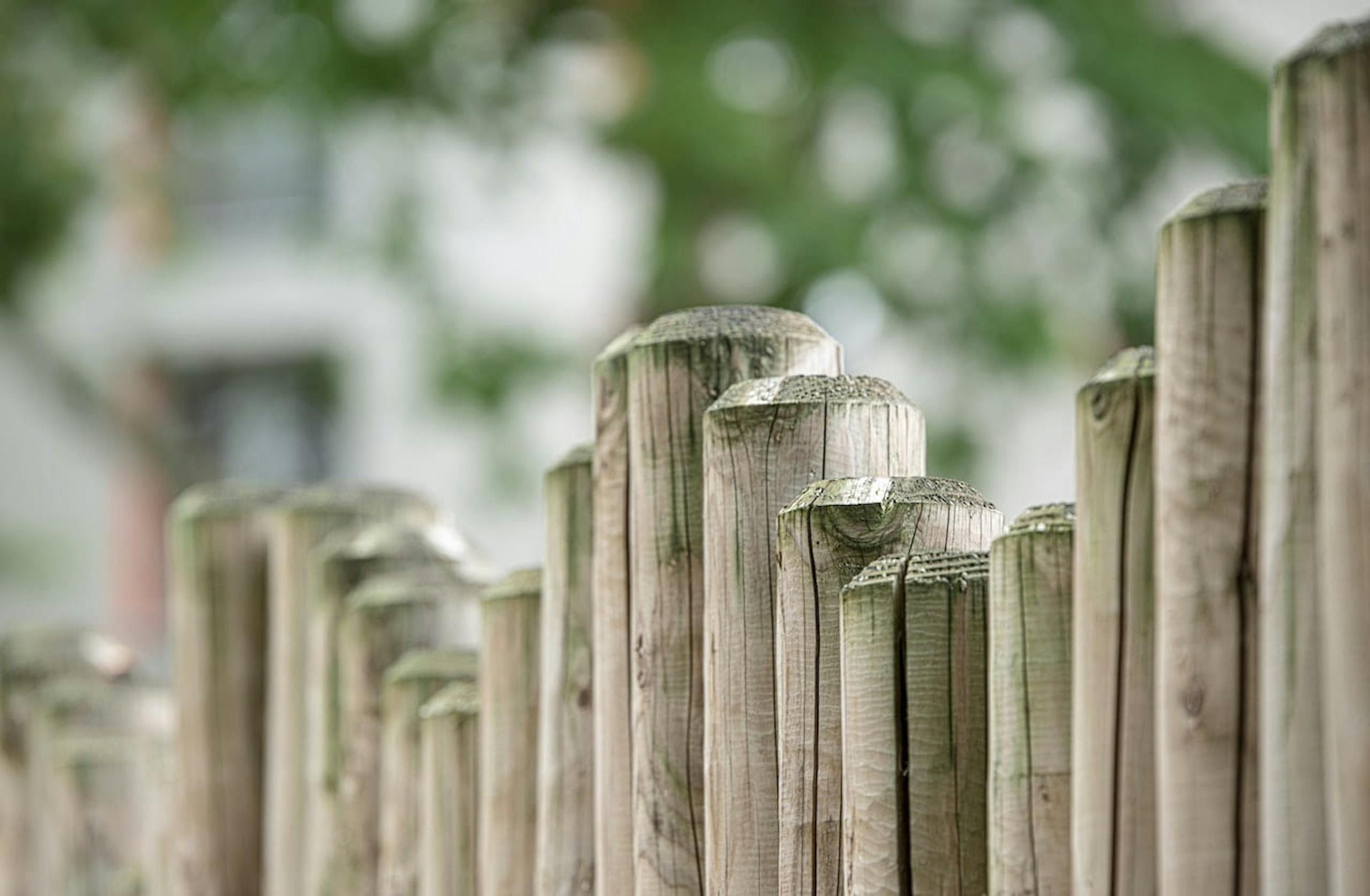 Clôture en bois