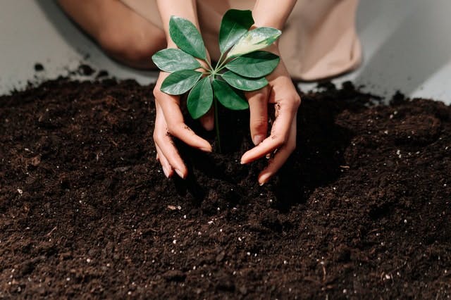 Yjk2OGJlMTEtMGI1Ni00Y2M5LThiYzAtZTk3OGE0N2Y3ODI5 6274f25dc0bc2b44a9dd7c46 label bas carbone tout ce quil faut savoir