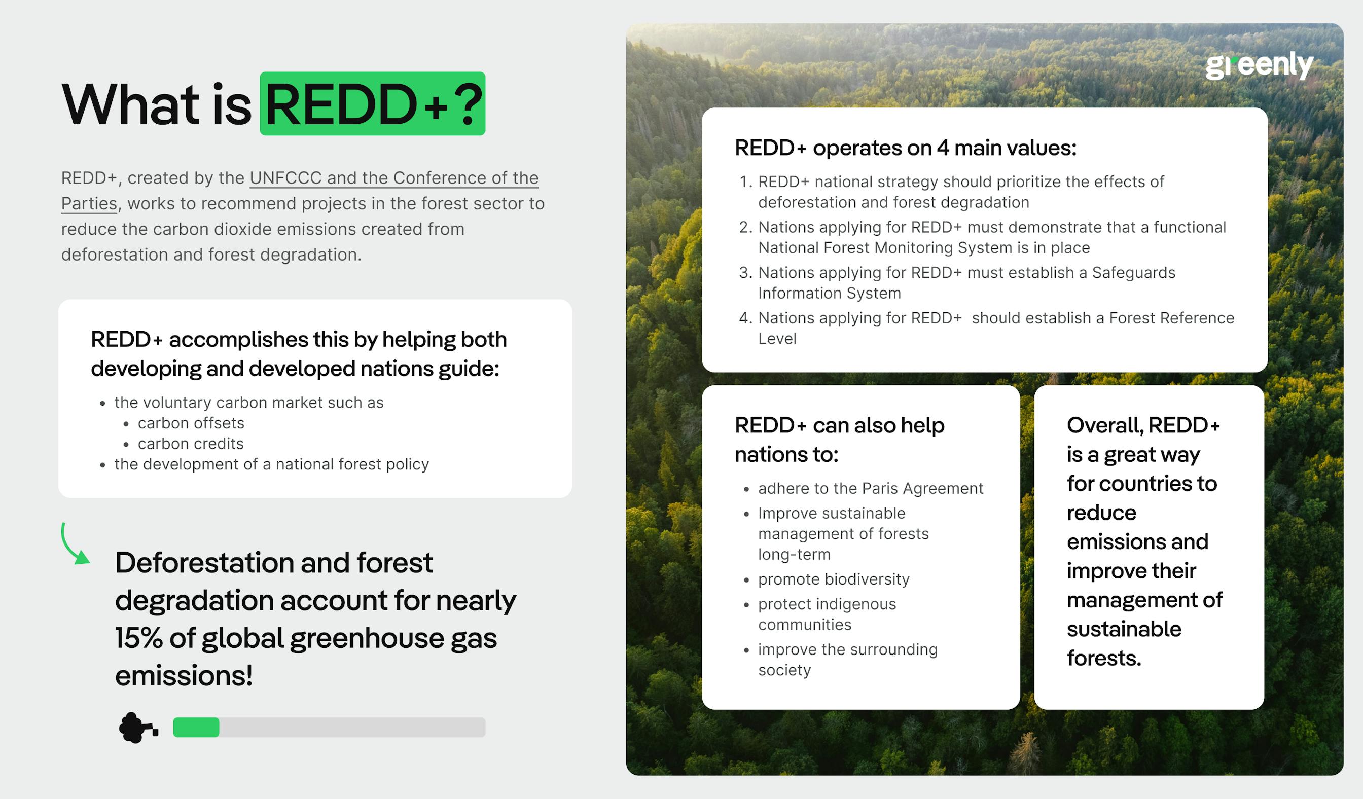 redd+ inforgraphic