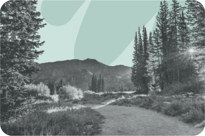 What is natural capital?