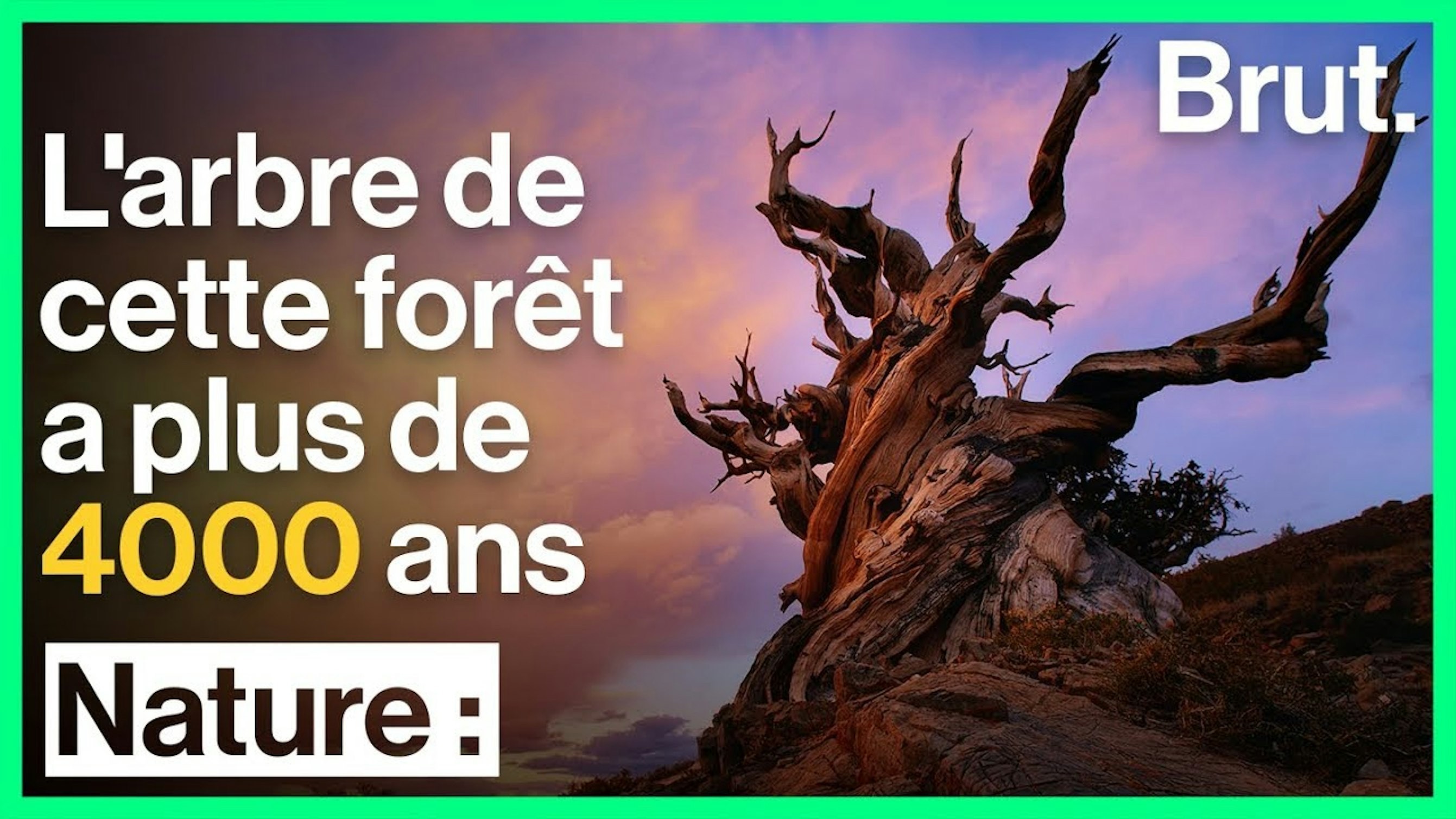 screenshot YouTube