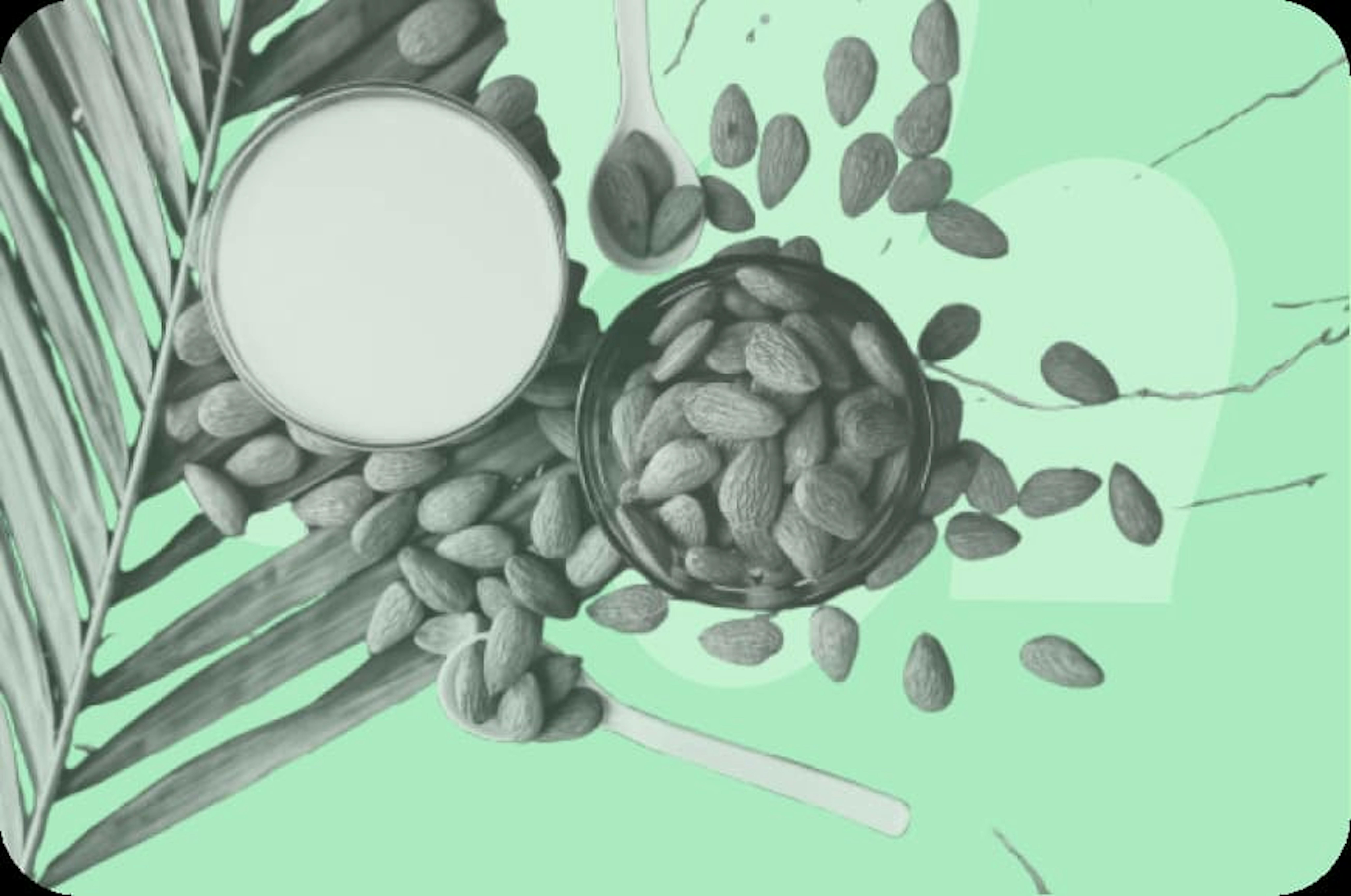 almonds and almond milk