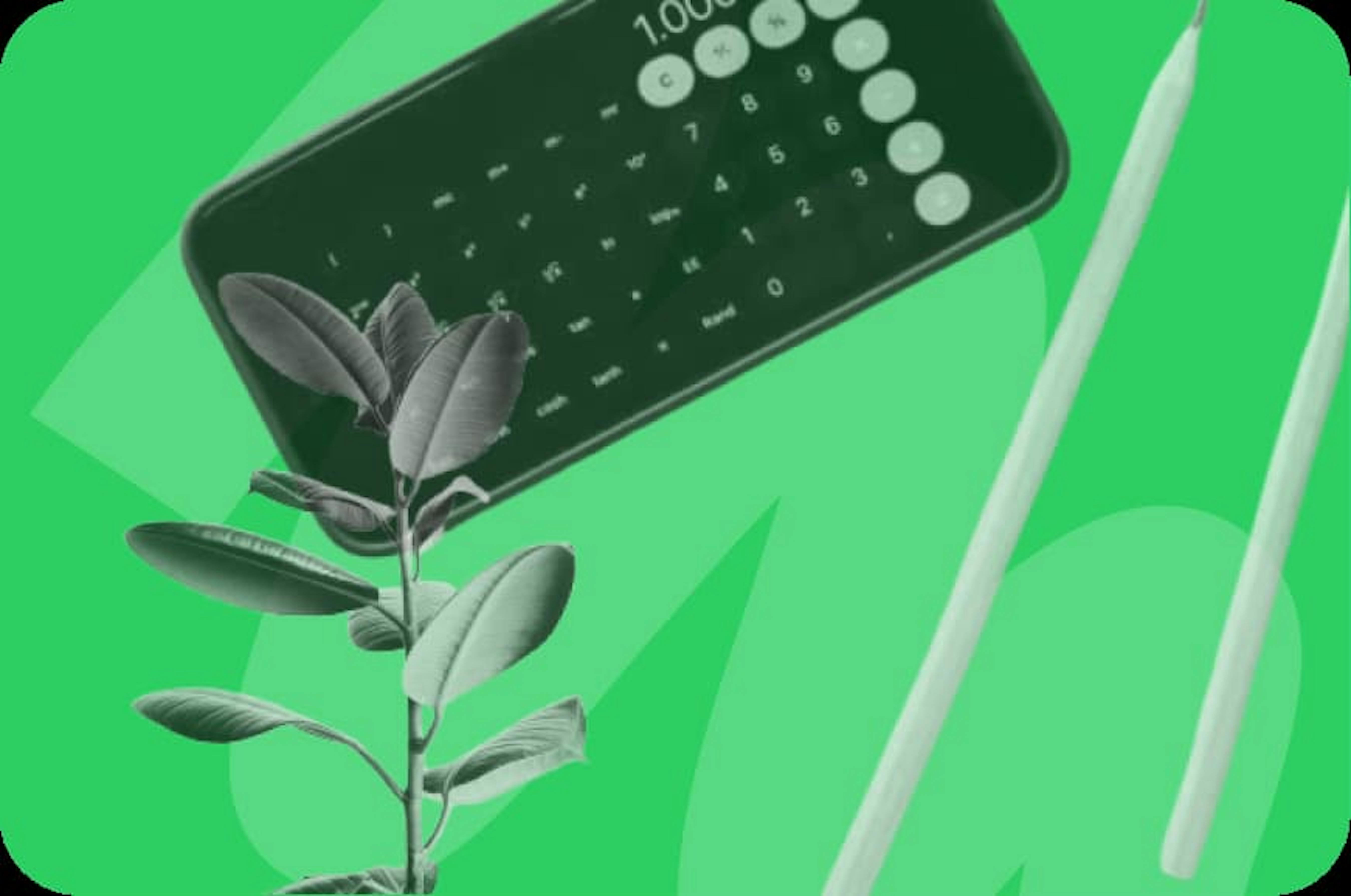 calculator with pencils and plant