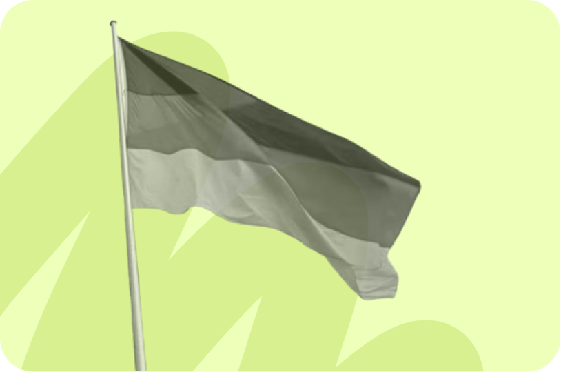 German flag