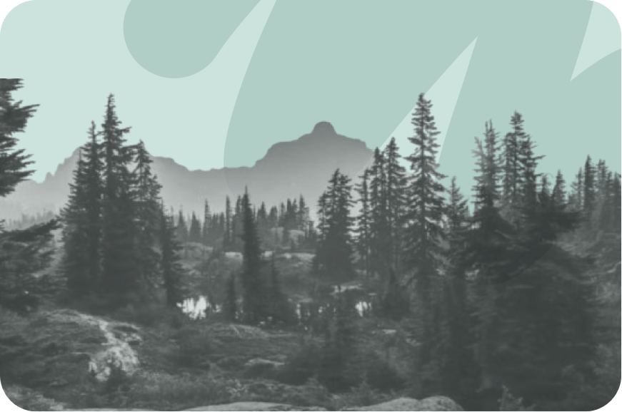 sunset over mountains and forest