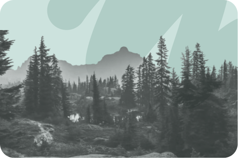 sunset over mountains and forest