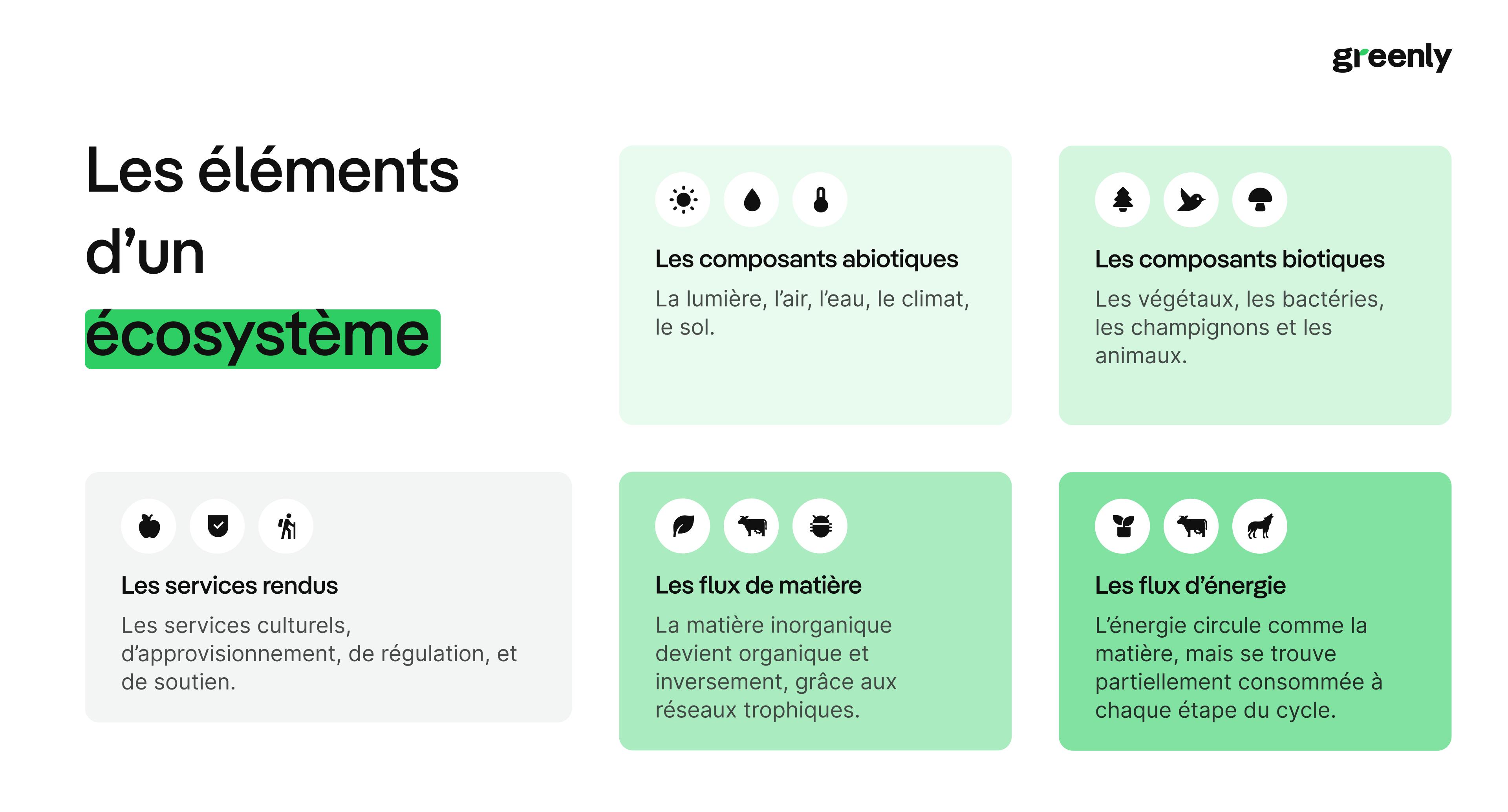 infographie