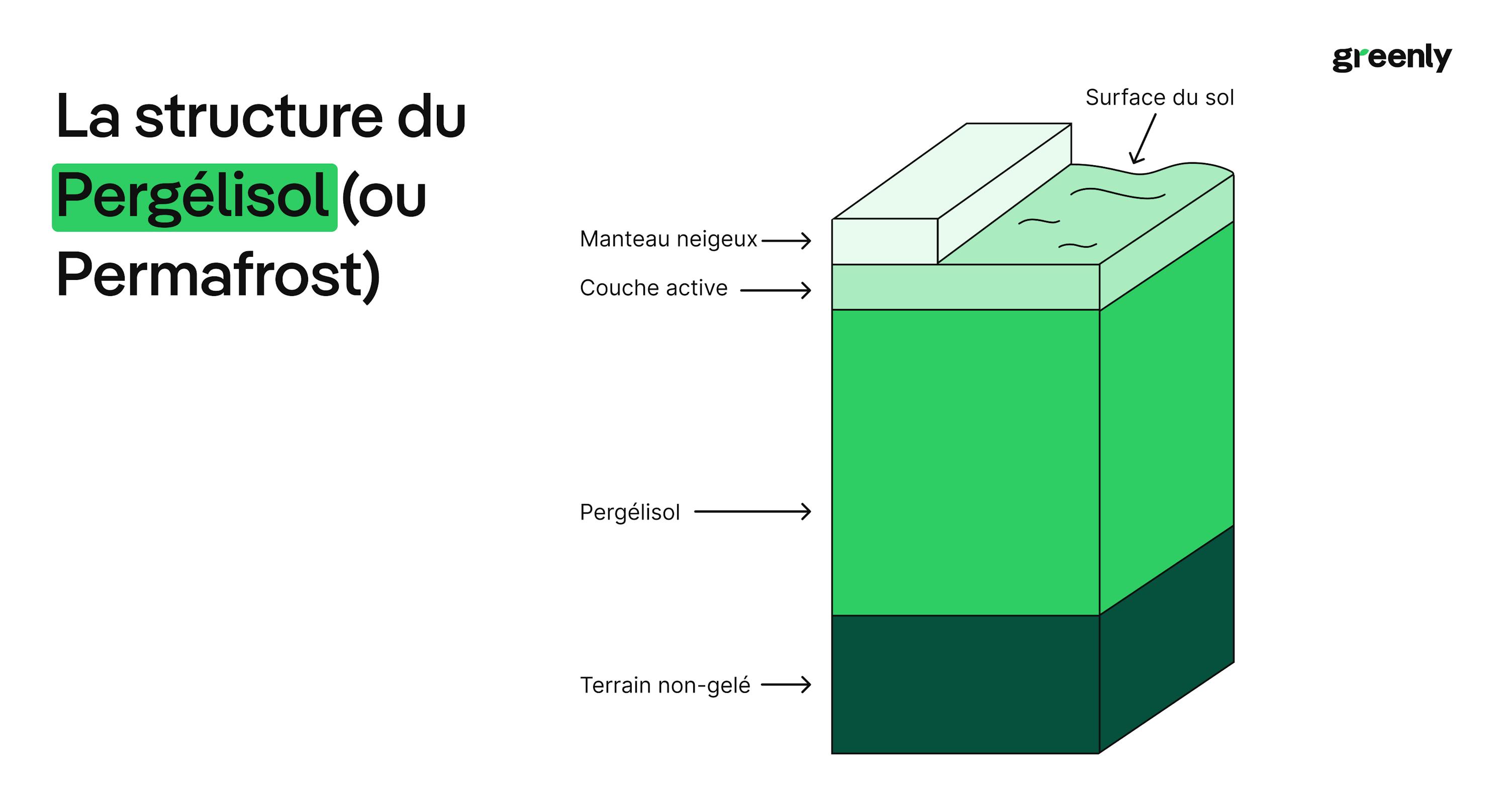 infographie