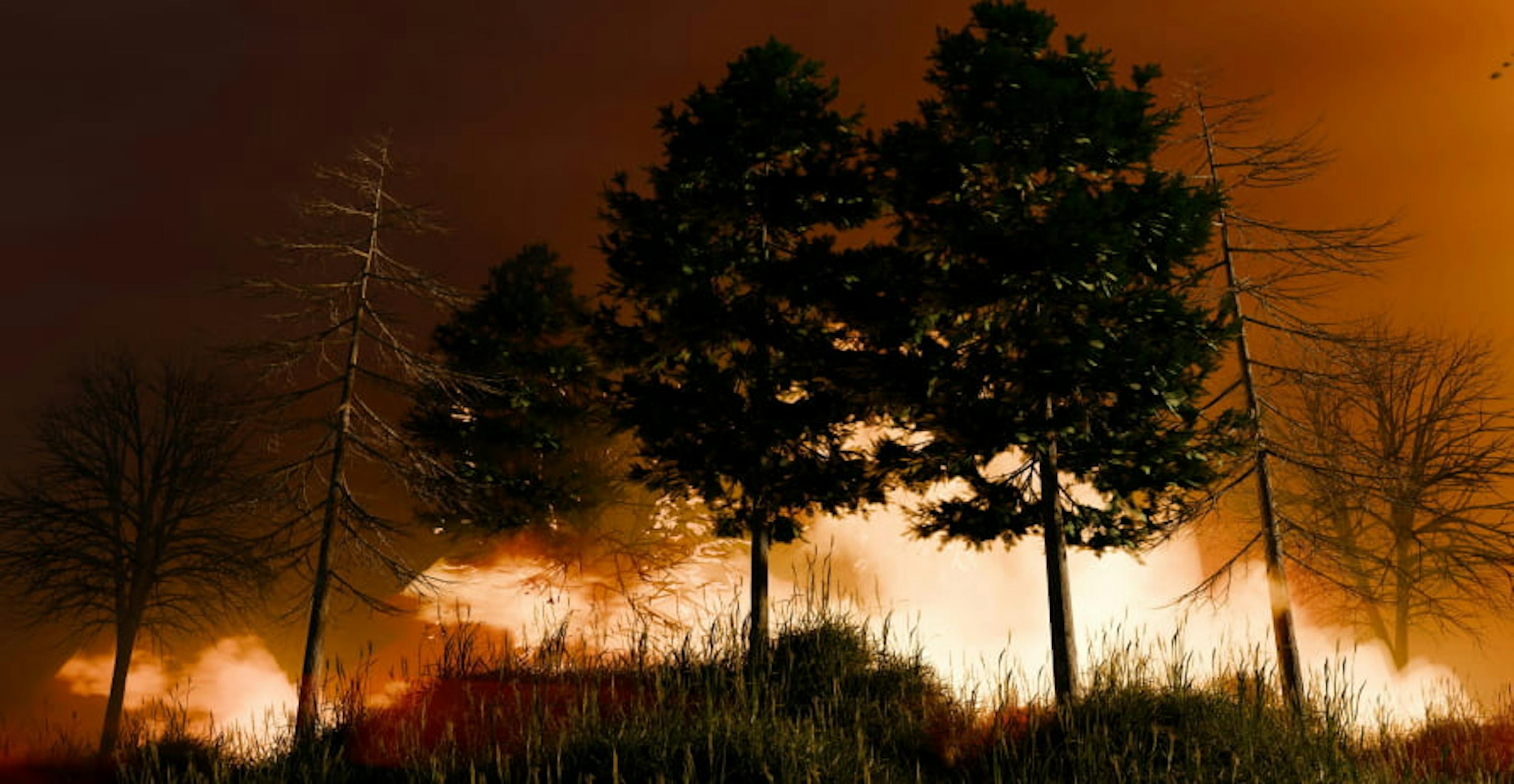 wildfire behind bushy trees