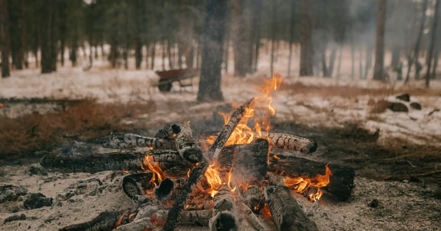 fire in middle of dry winter forest