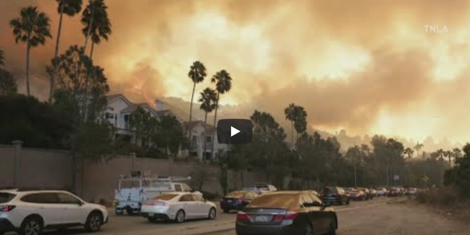 cars palm trees and wildfire smoke