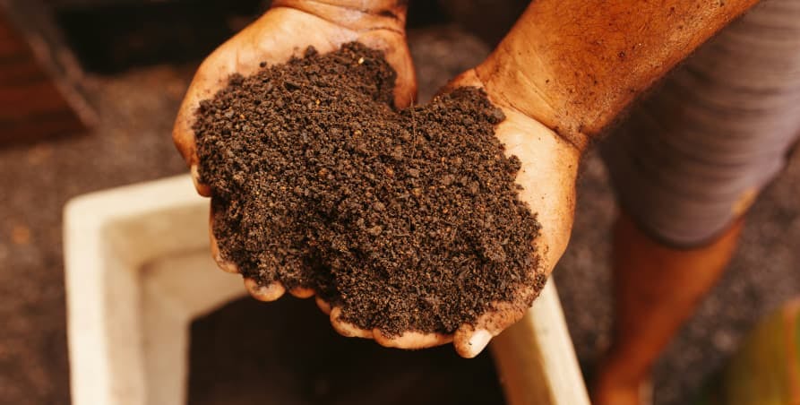 hands holding soil