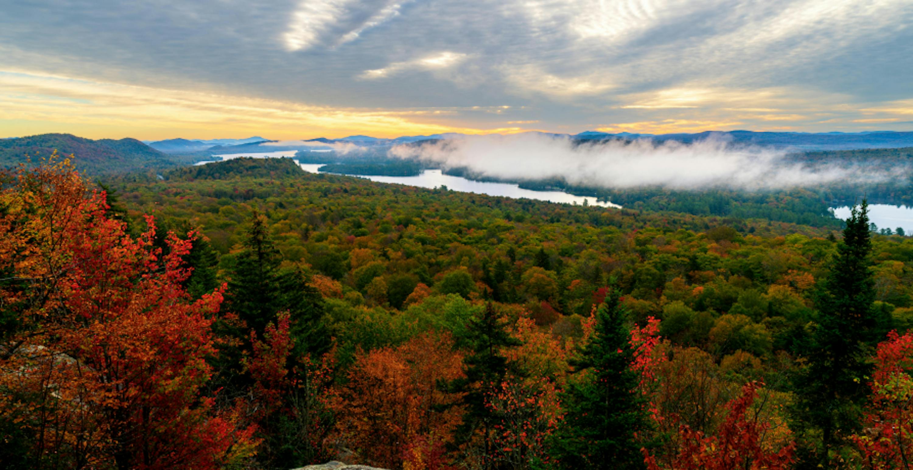 Adirondacks red forest