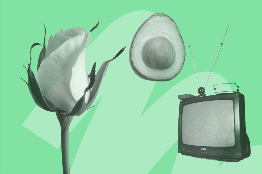 rose, avocado and television