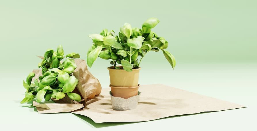 plants over cardboard light green background