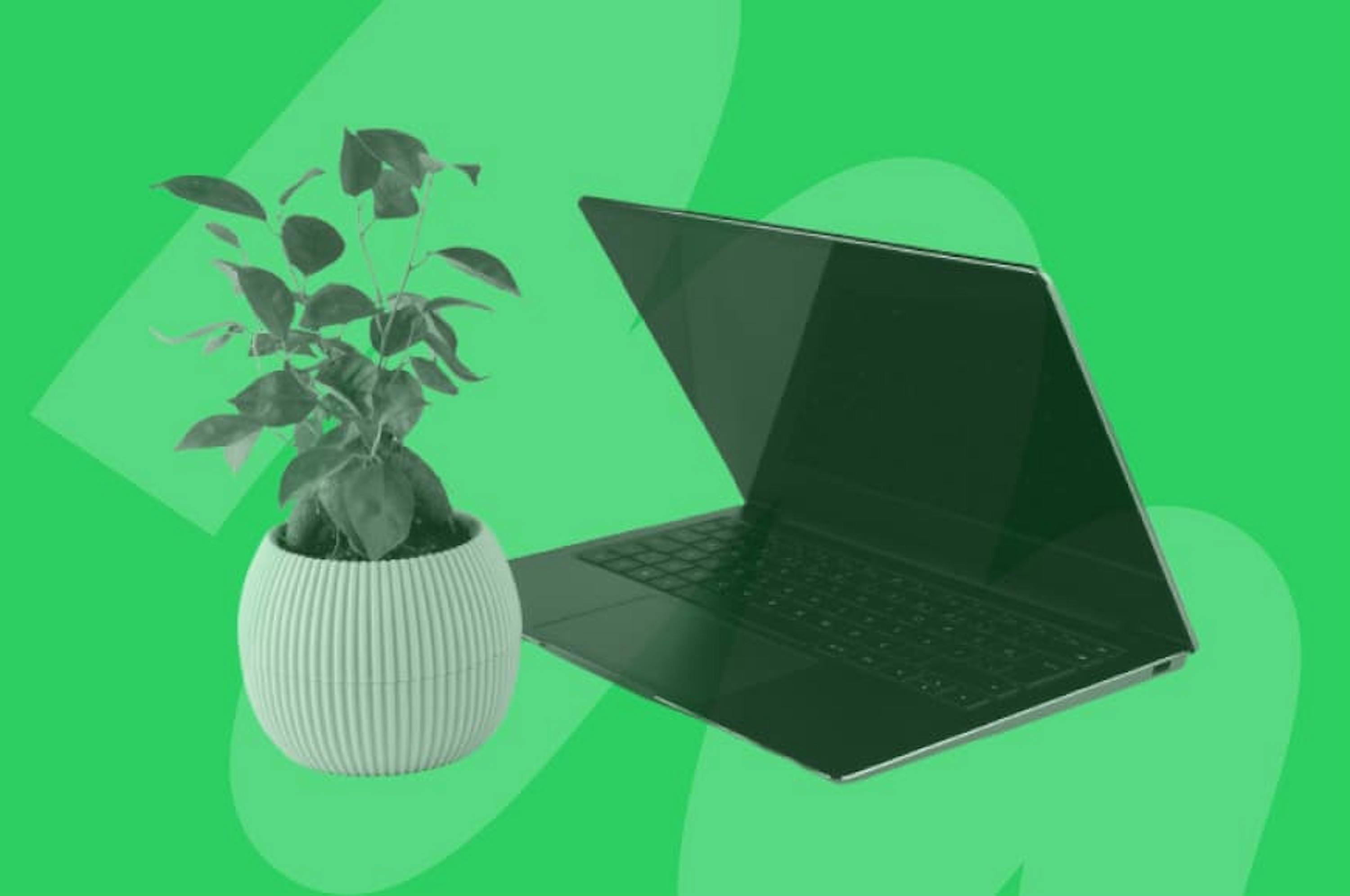 laptop black half closed with potted plant