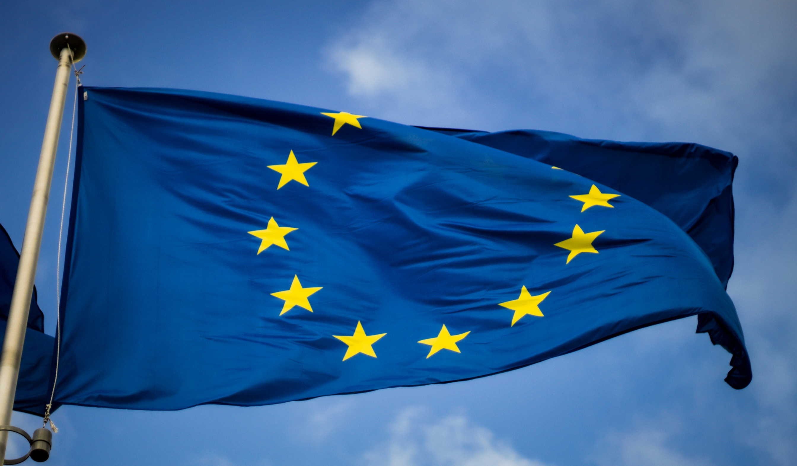 European Union's flag