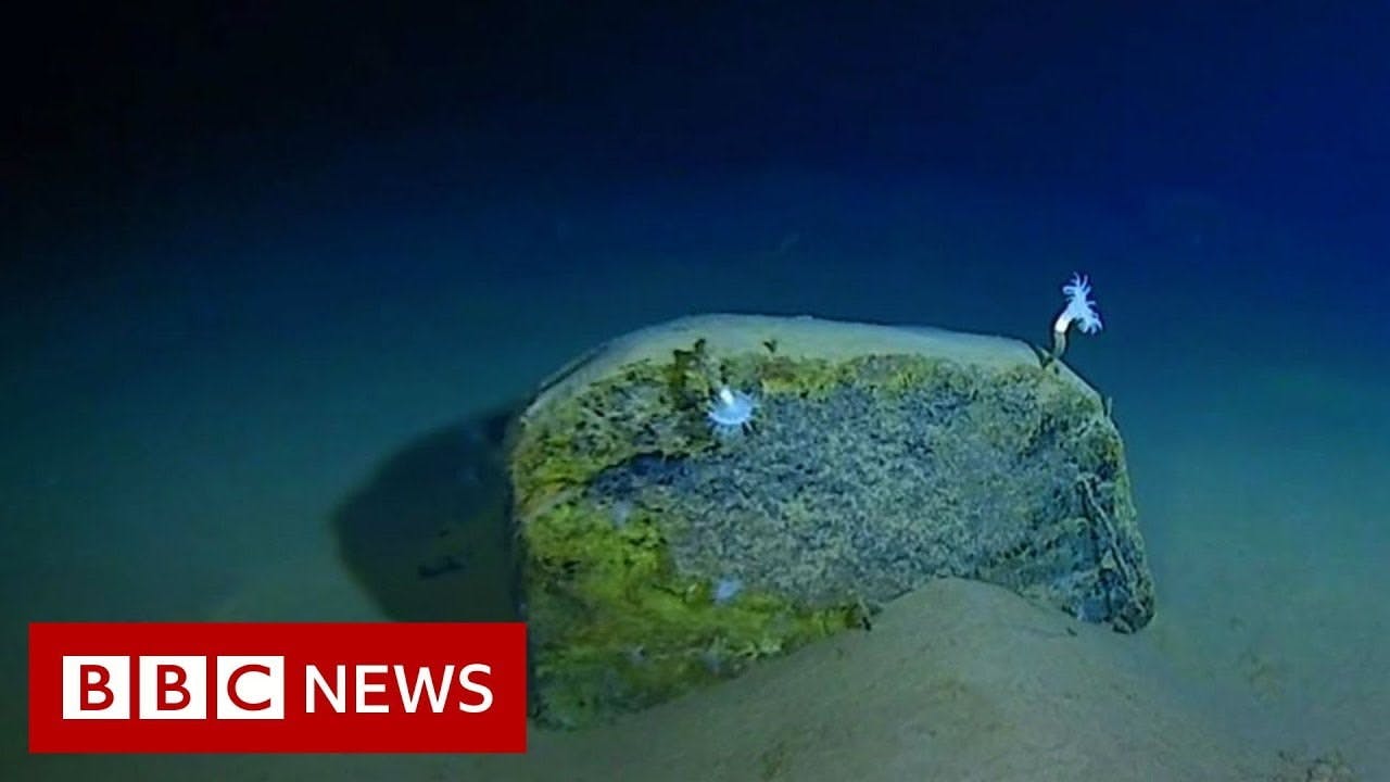 bbc news underwater