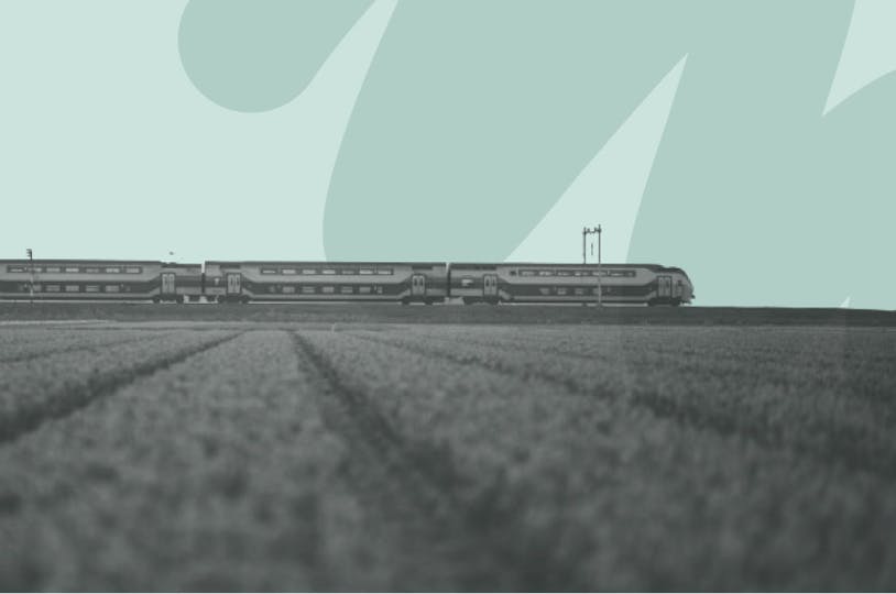 train in lavender field