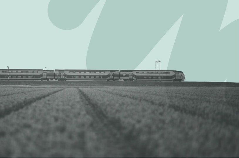 train in lavender field