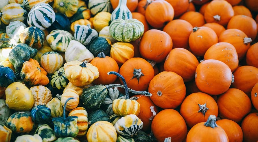 pumpkin