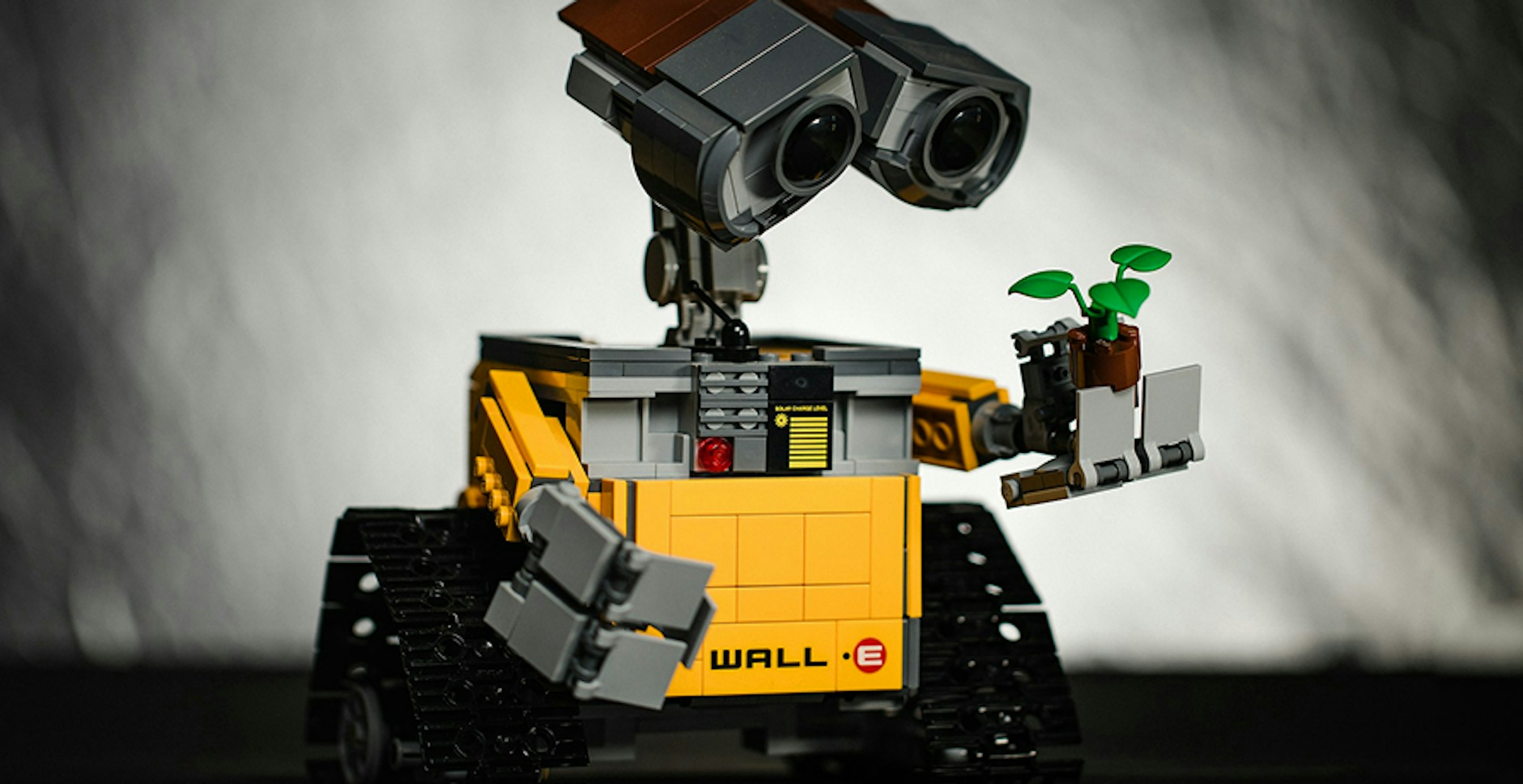 a robot looking at a plant