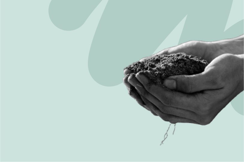 Main tenant de la terre