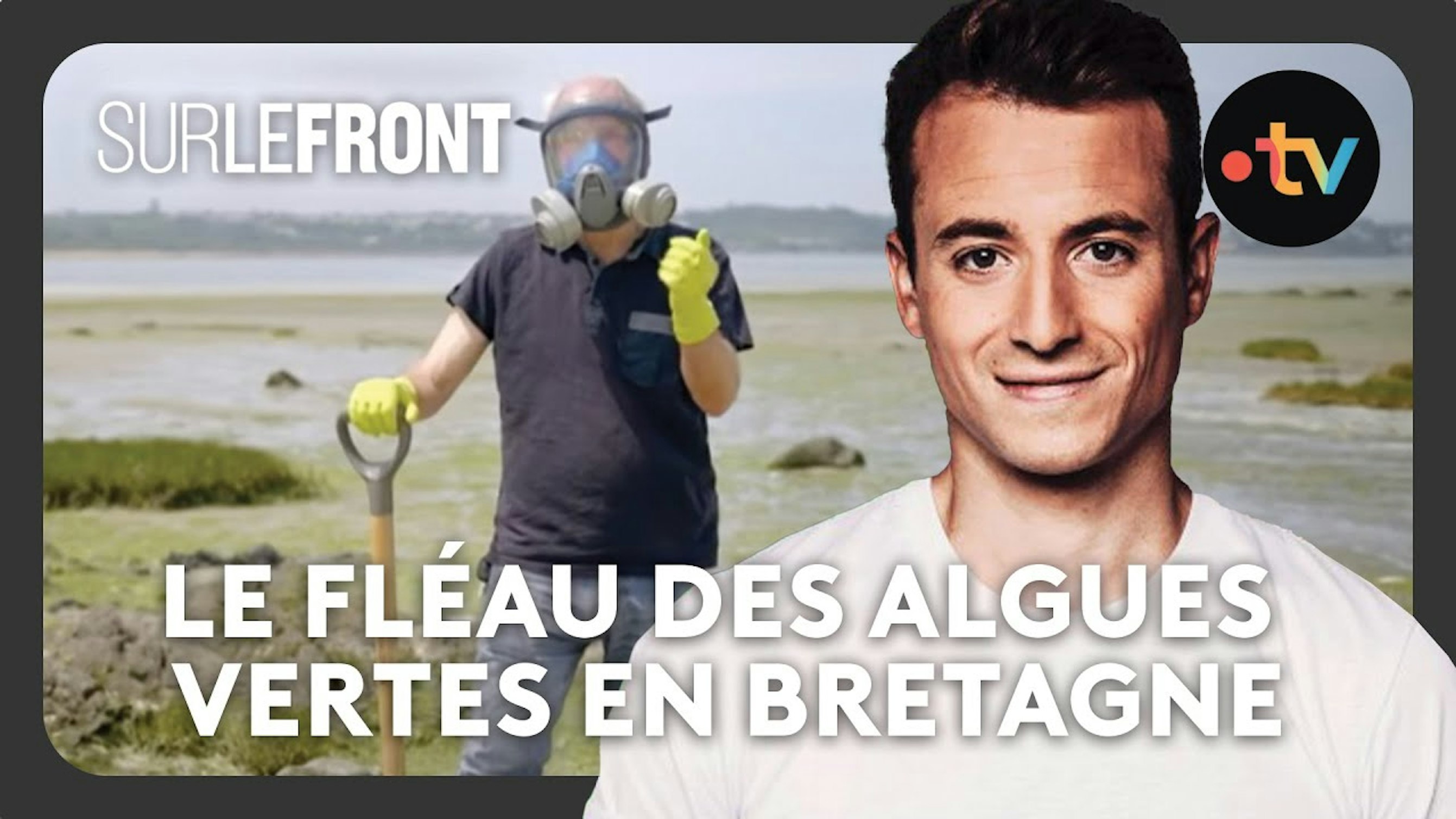 Photo d'une marée verte