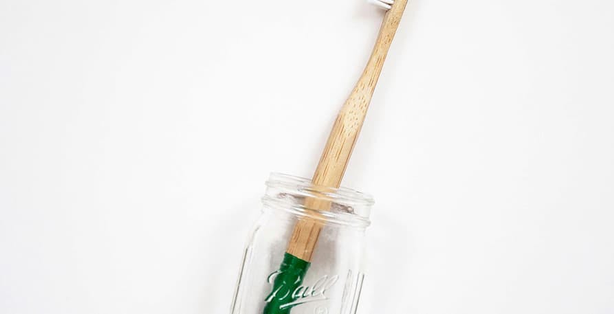 zero waste toothbrush