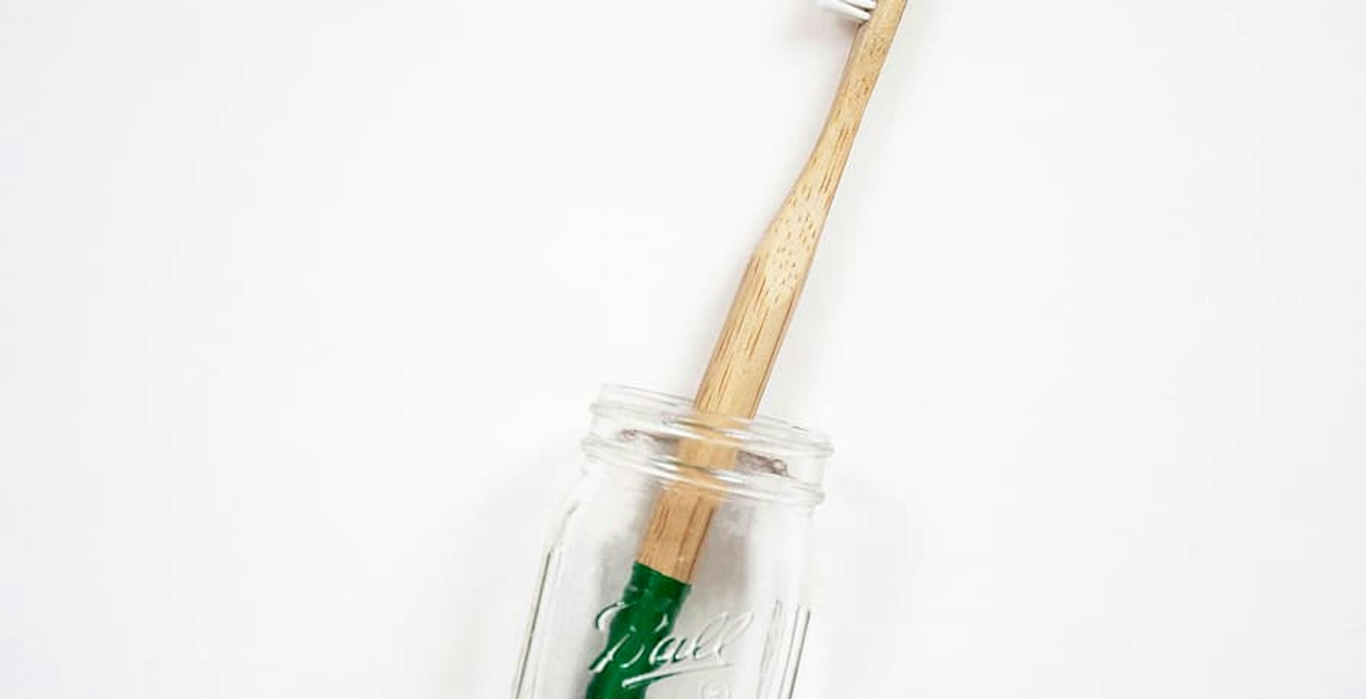 zero waste toothbrush