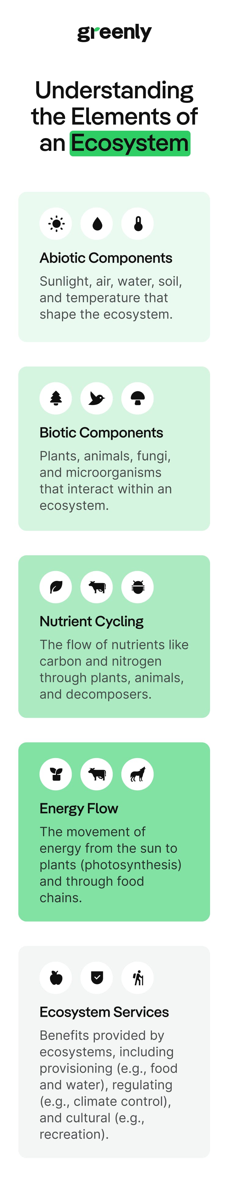 infographic on ecosystems