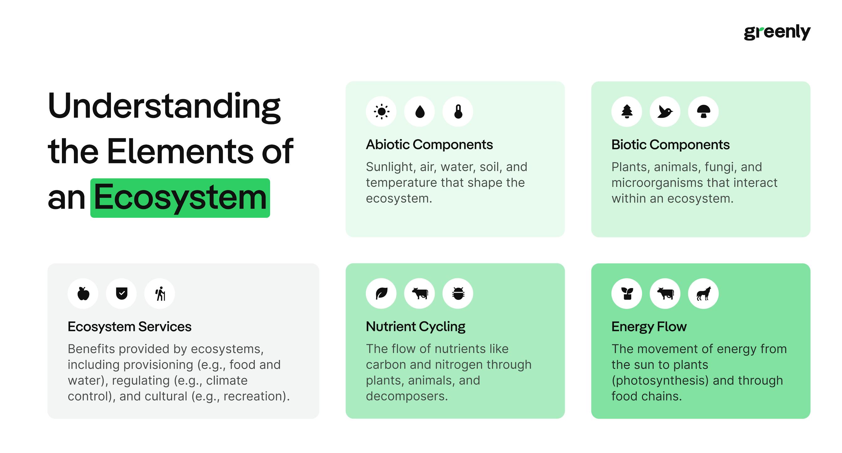 infographic on ecosystems