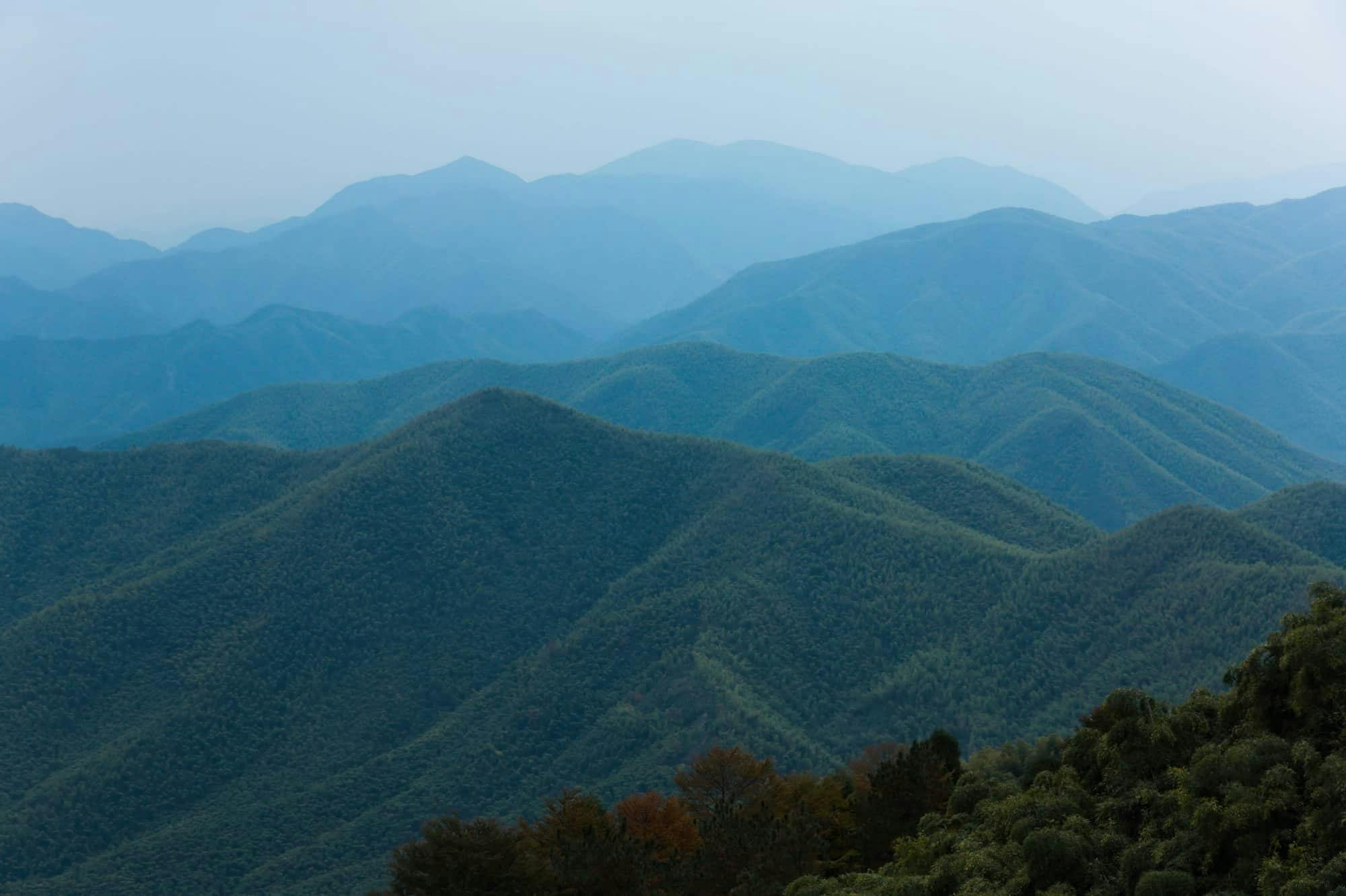 ZTIxNGNkZmItMDFjMC00ZmRhLWIzMWYtMmJkYjYwMWJhMGNm 6238ba5fd795a9221c1f4718 61faaa467b151eb966a94d1d 42010 deqing xian4