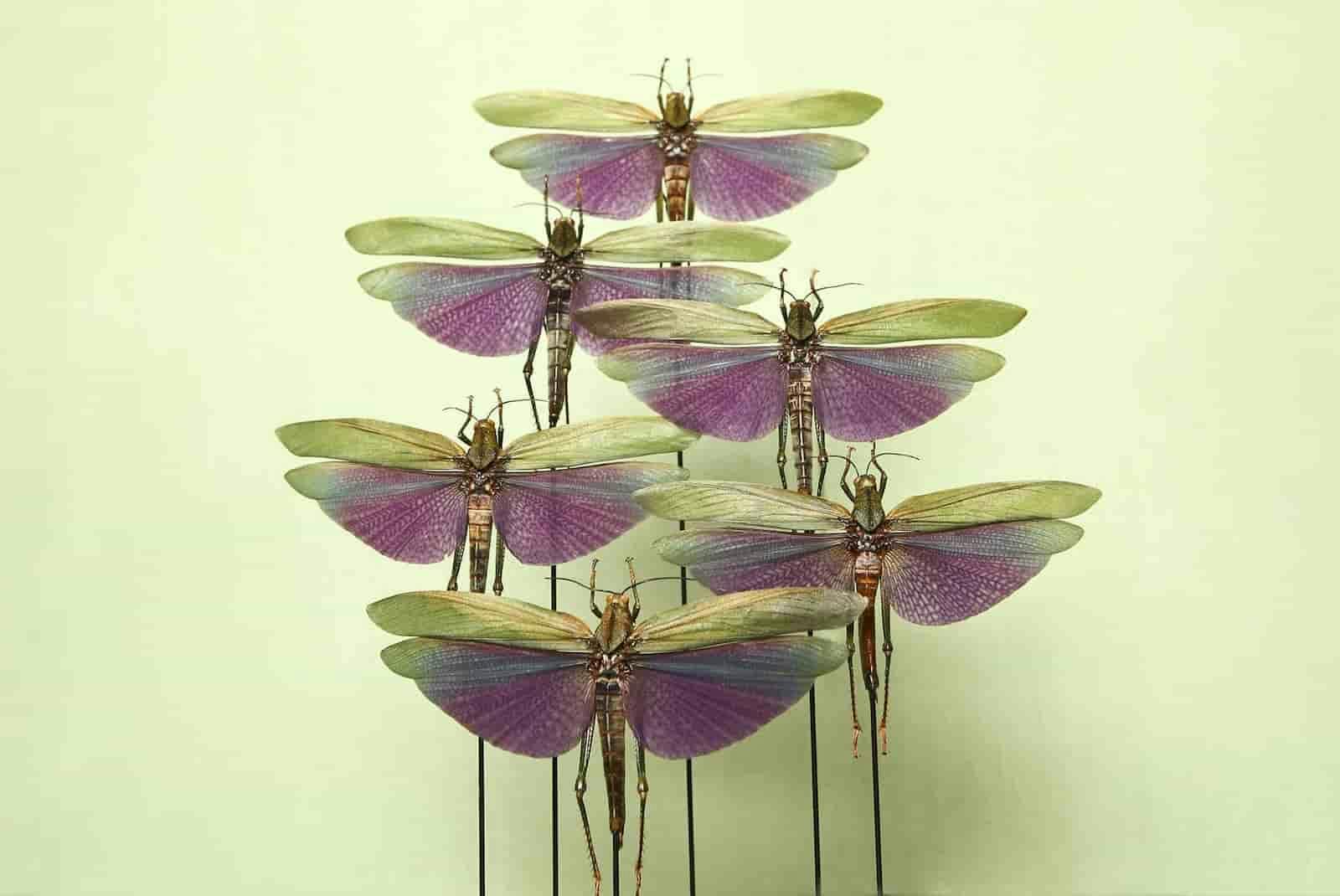 ZThiNzU3NWItOTFlOS00NTk3LTg4NTUtOGQ4NzQzY2I3NGZi 63330ee389651075b4e7e69e marie antoinette agence clients