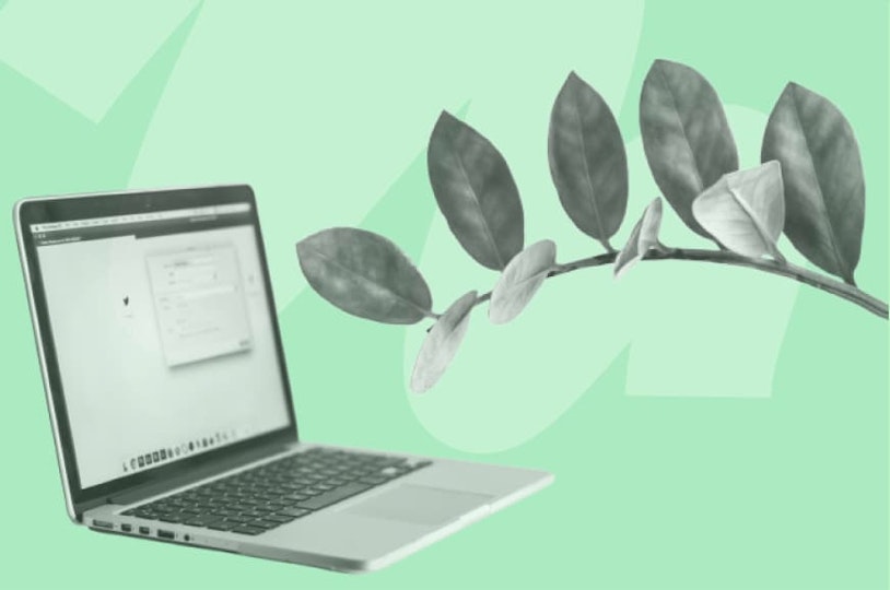 laptop with long leaf branch