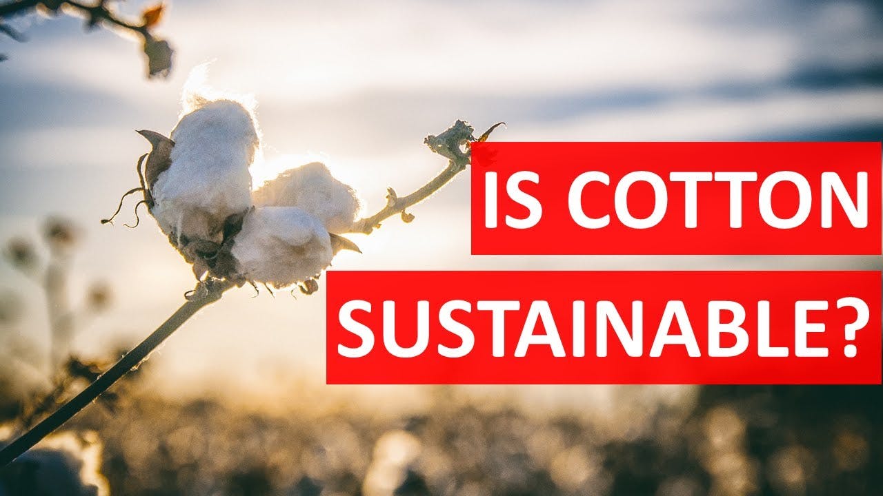 Preferred Cotton – What is it & Why is it Superior? – Sustainable