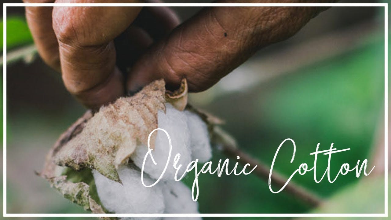 Organic Cotton vs Recycled Cotton - Sustainable Fashion's Many Faces