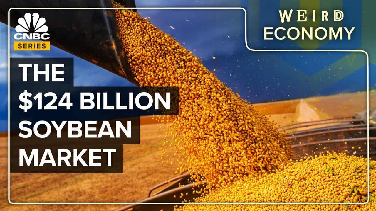 the $124 billion soybean market