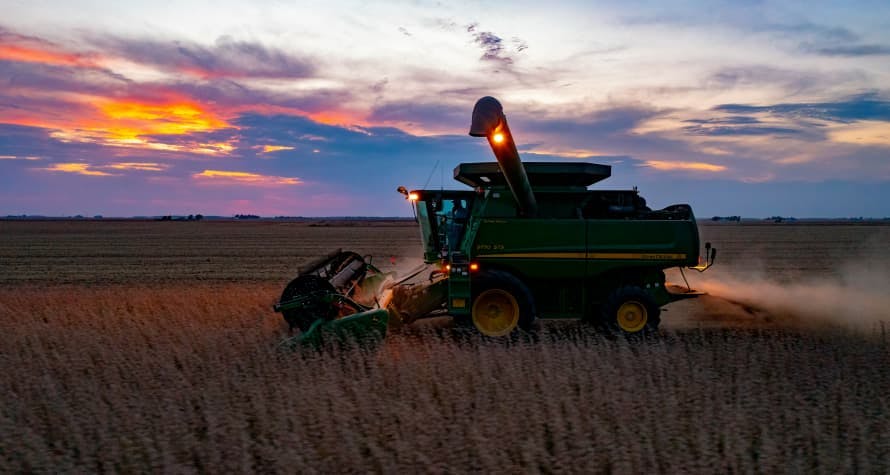 soybean field at sunset