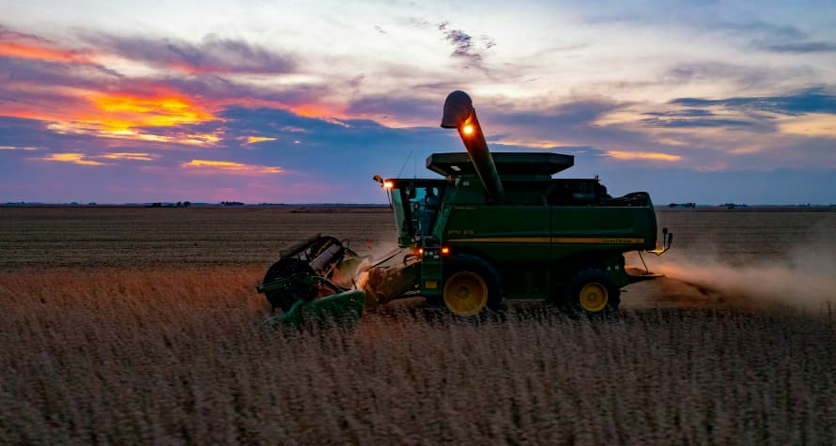 soybean field at sunset
