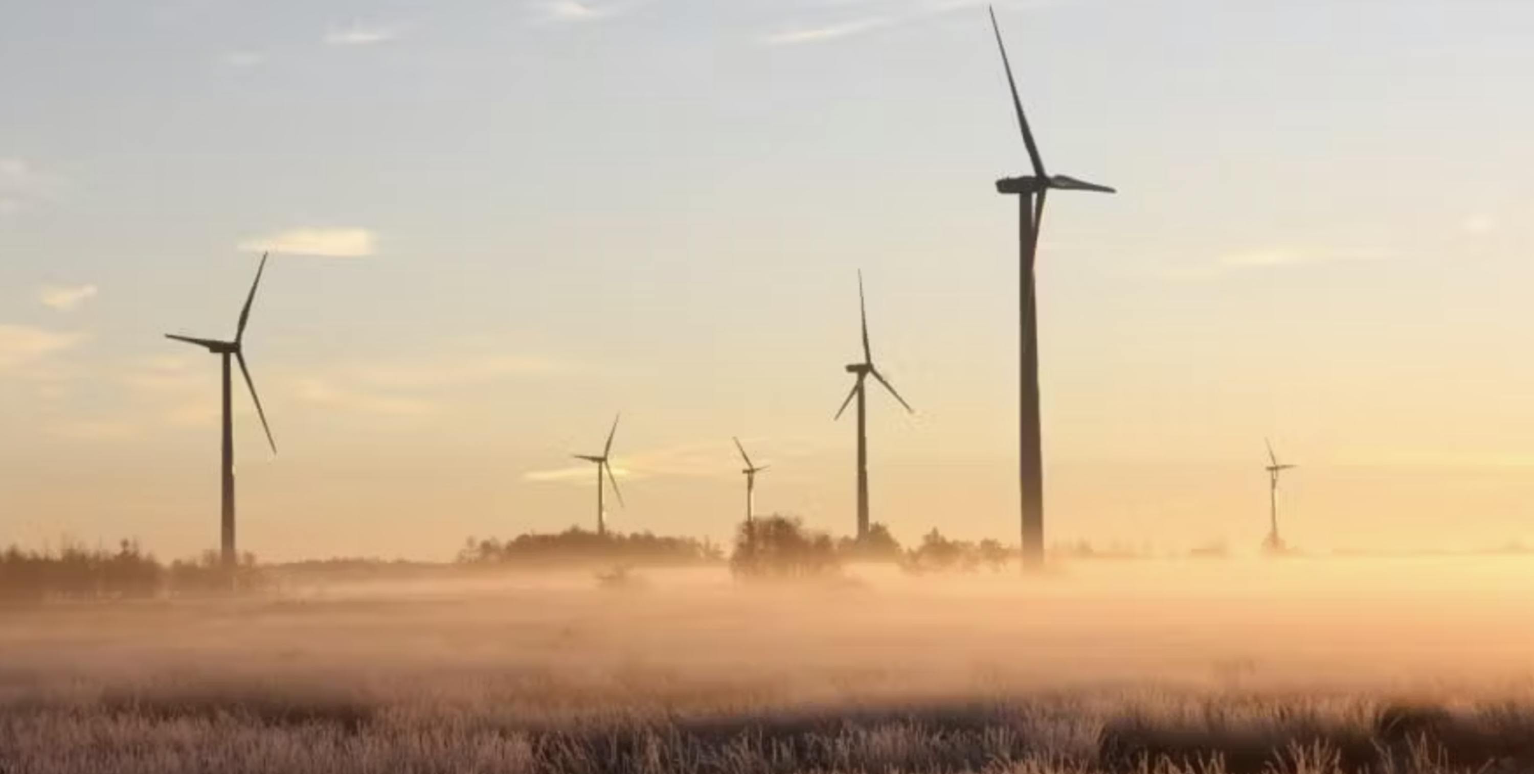 Wind turbines landscape