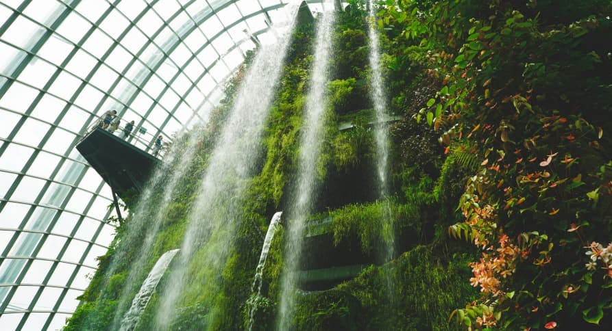 waterfall in building with vegetation